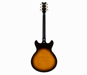 Ibanez JSM100-VT John Scofield Signature Semi-Hollowbody Electric Guitar - W/ Case
