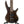 Ibanez Gio GSR200B Bass Guitar - Dark Walnut - Used