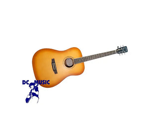 Nashville Guitar Works D10EB Acoustic Guitar