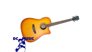 Nashville Guitar Works D10CEEB Acoustic Guitar Edgeburst